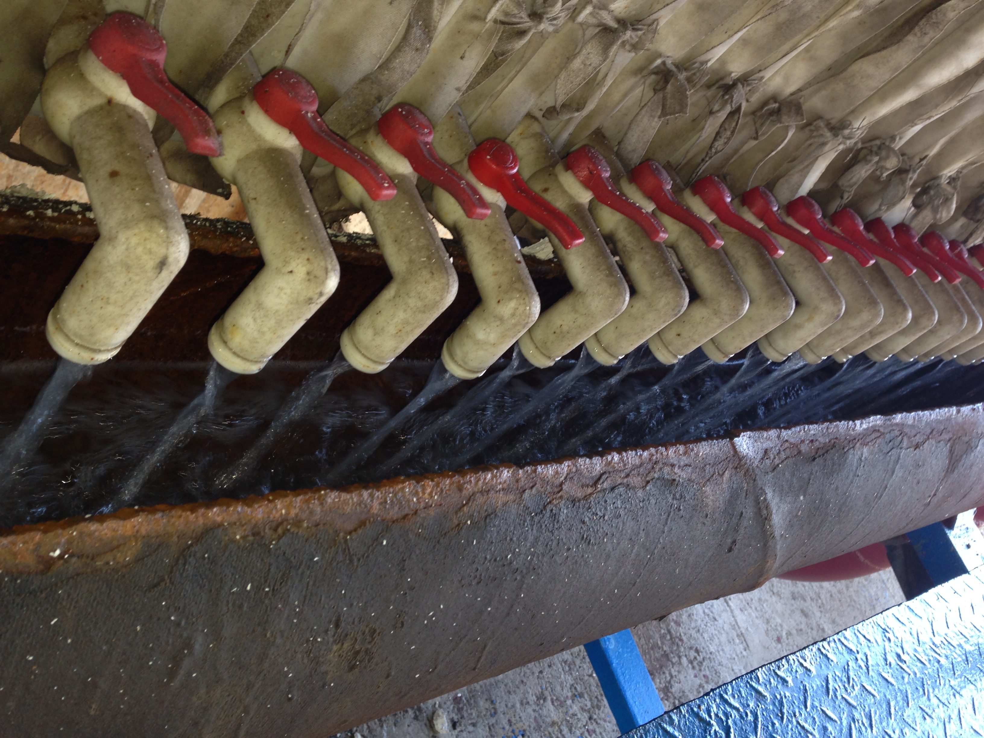 1731296096850573.jpg D23D0EE7-1676-4B2C-A4F0-8F637E6AB221.JPG